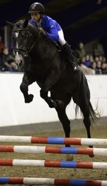 First Choice og Katja Andersen til Hingsteshow Nord 2014